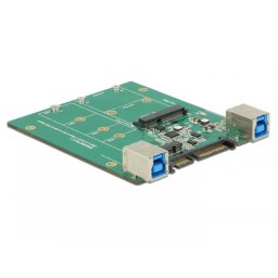 Convertor SATA / USB 3.1-B la M.2 / mSATA, Delock 62732