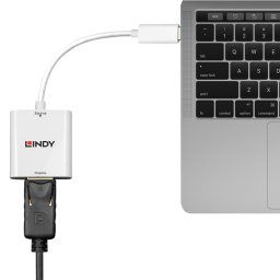 Adaptor USB 3.1-C la Displayport 4K60Hz T-M alb, Lindy L43245*