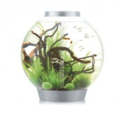 Acvariu BiOrb Classic 105 litri MCR, Argintiu