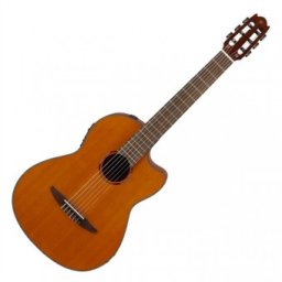 Yamaha NCX1/C