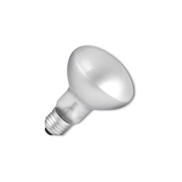 Bec industrial Ecolite E14/40W/230V 2700K