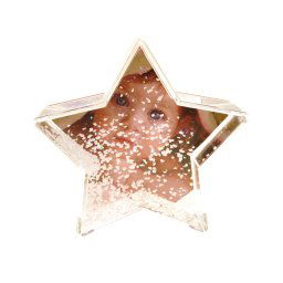 Glob foto stea