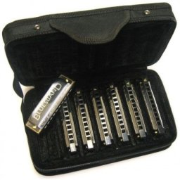 Hohner Bluesband M91105