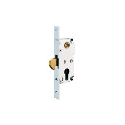 Broasca poarta exterior, 30 x 72 mm, cu carlig, zincat, THIRARD