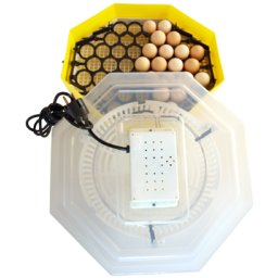 Incubator Oua Cleo Cu Dispozitiv de intoarcere a oualor. Capacitate 41 de oua de gaina
