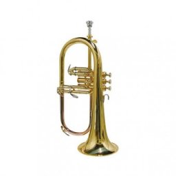 Parrot JBFH 1100L Fligorn