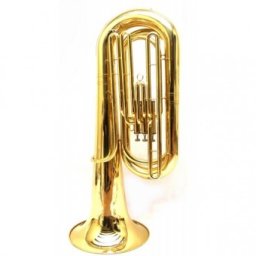 Tuba Parrot 5904