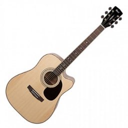 Cort AD880CE-NAT
