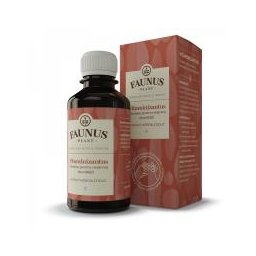 Tinctura vitaminizantus 200ml - Faunus Plant