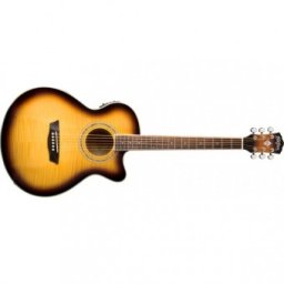 Washburn EA15ATB-A-U