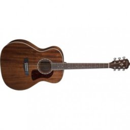Washburn Heritage G12S
