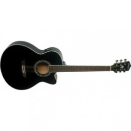 Washburn EA12 B-A-U