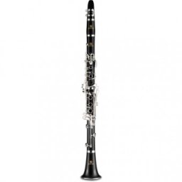 Jupiter JCL750SQ