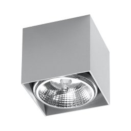 Lampă spot BLAKE 1xGU10/40W/230V