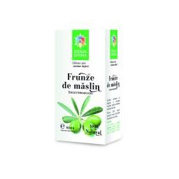 Tinctura din frunze de maslin 50ml - Steaua Divina