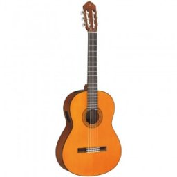 YAMAHA CGX102