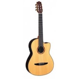 Yamaha NTX5