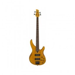 Yamaha TRBX604FM AM