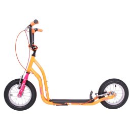 Trotineta inSPORTline Raicot SE