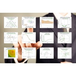 XLSTAT-Premium Campus Licenţă campus mare - până la 500 locuri