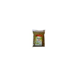 MAGHIRAN ADSERV 100 GR