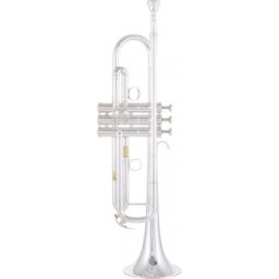 Yamaha YTR-8335RS 04