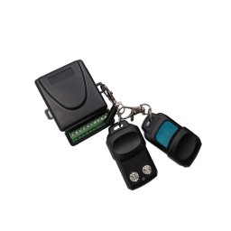 Modul receptor + 2 telecomenzi