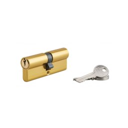 Butuc usa, profil european, 40 x 40 mm, 3 chei, Serruprix