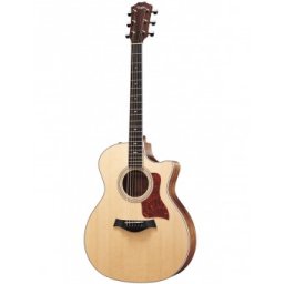 Taylor 414ce Concert