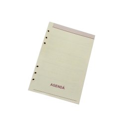 Rezerva pentru agenda A5 cu 6 perforatii