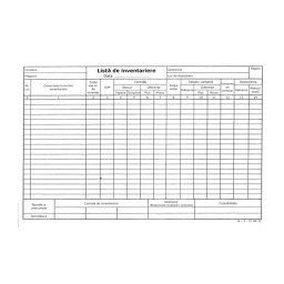 Lista inventar 14 coloane, format A4, orientare vedere, 100 file