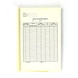 Raport gestiune periodic, format A4, orientare portret, 100 file