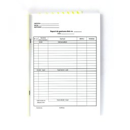 Raport de gestiune zilnic, format A4, orientare portret, 100 file
