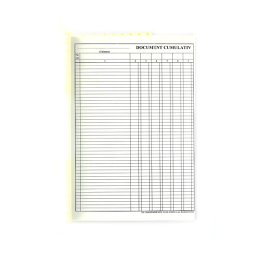 Document cumulativ, format A4, orientare portret, 100 file