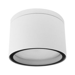 Palnas 66003481 - Plafonieră exterior ARON 1xGX53/15W/230V IP54