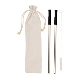 Set 2 paie reutilizabile si perie, Everestus, JU038, otel inoxidabil, gri