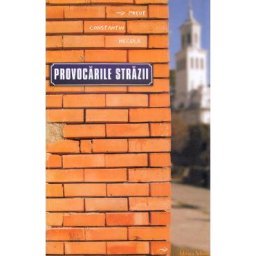 Provocarile strazii - Constantin Necula