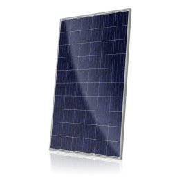 Panou solar fotovoltaic Canadian Solar CS6K-275P
