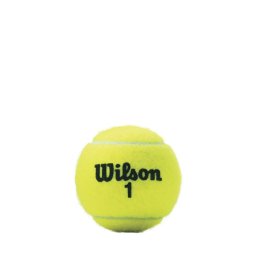 Mingi tenis de camp (3 buc) Wilson Championship