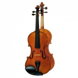 Hora Reghin Vioara 4/4 Profesional Guarnieri