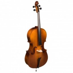 Hora Reghin Violoncel 3/4 Student masiv
