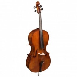 Hora Reghin Violoncel 4/4 Maestru