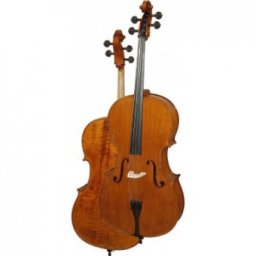 Hora Reghin Violoncel 4/4 Profesional