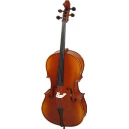 Hora Reghin Violoncel 4/4 Student placaj C121