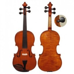 Hora Reghin Viola 16,5”-15” Profesional