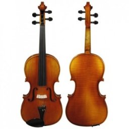 Hora Reghin Viola 15,5” Avansat (Elite) ulei