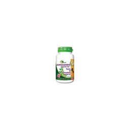 ASHWAGANDHA 100TB