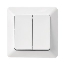Întrerupător dublu 250V/10A