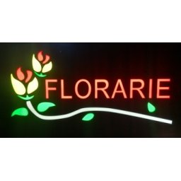 Reclama LED - FLORARIE - de exterior / interior, 44 x 24 cm