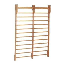 Spalier dublu gimnastica Toorx 180 x 250cm